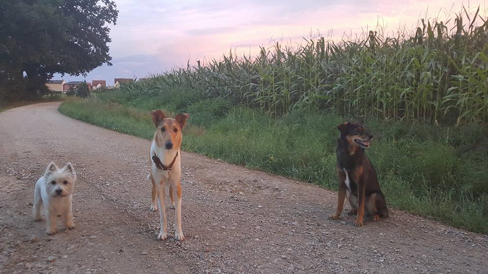 Kurse & Beschäftigung