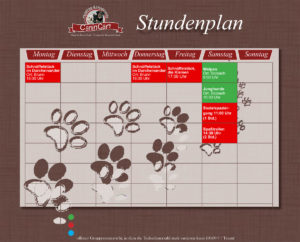 Stundenplan Hundetraining