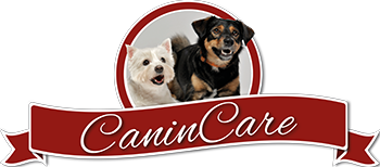 CaninCare - Hundefrisör und Hundetraining